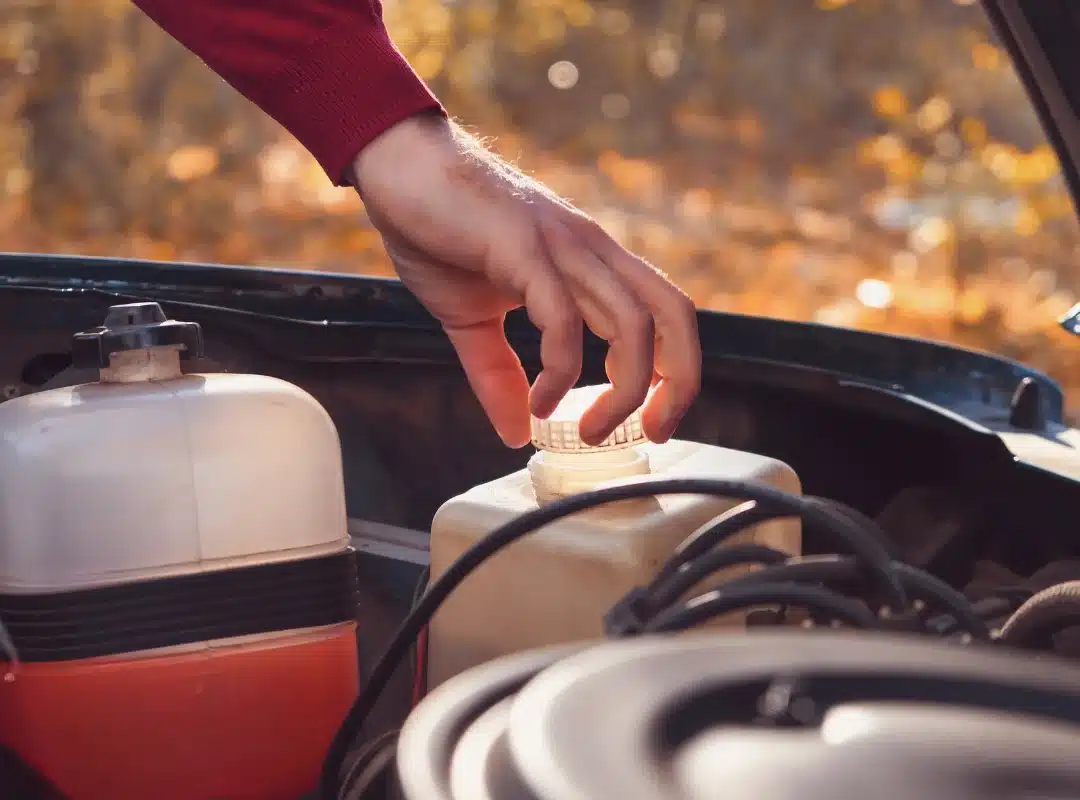 How to check mot is Due
